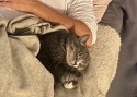 Tommy_Maja (1)